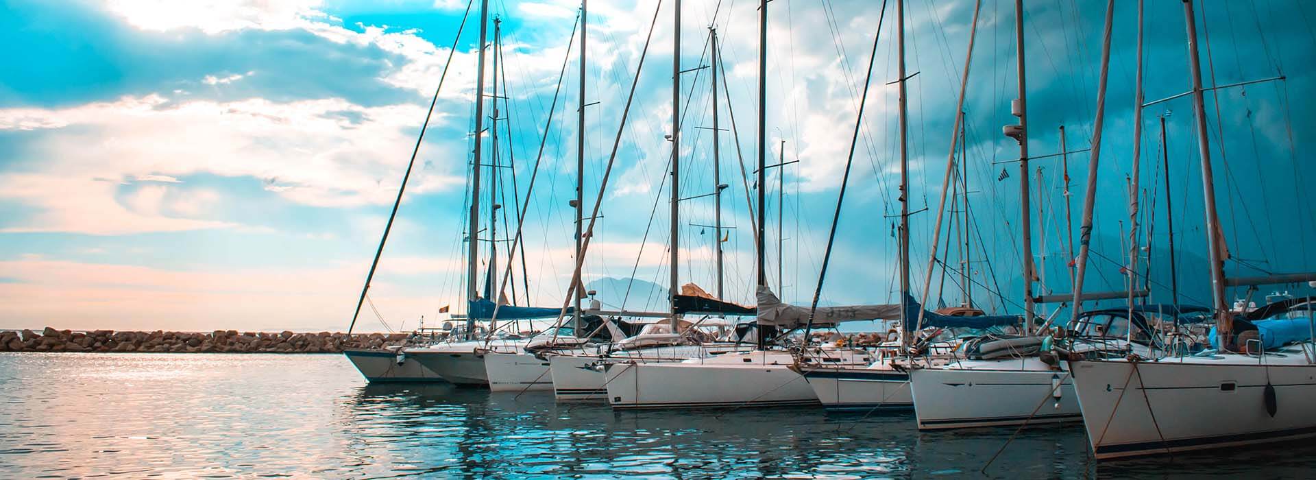 Series of sailboats docked alongside one another..